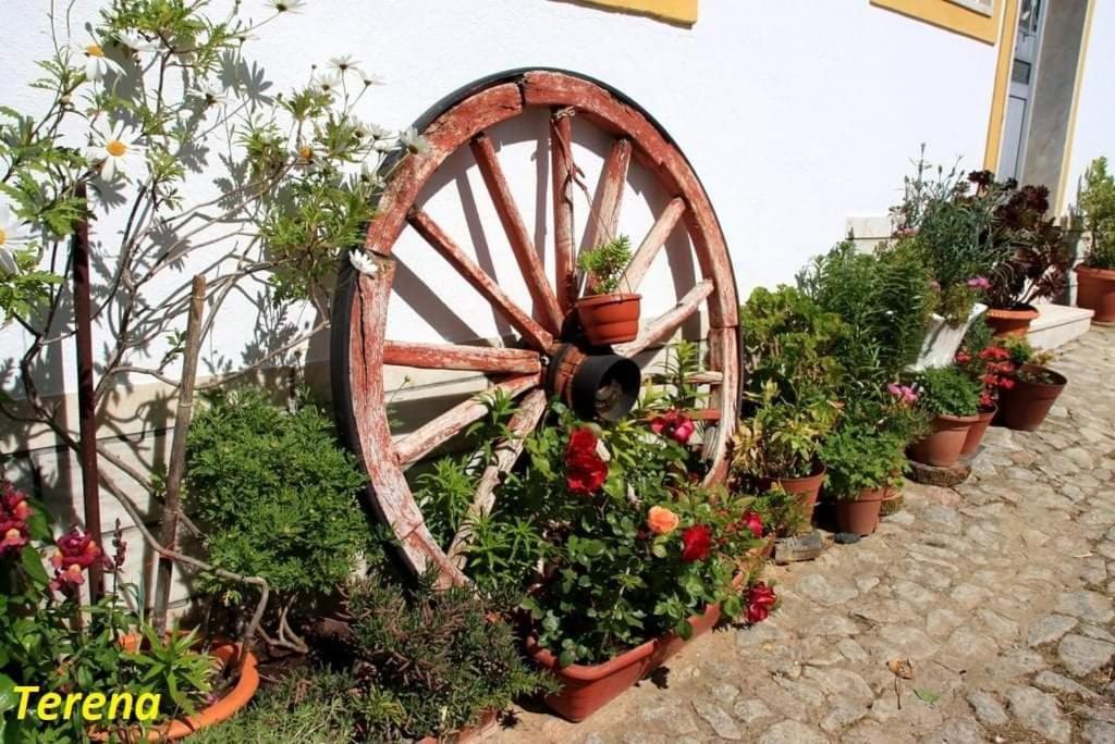 A Casa Do Mestre Lau - No Coracao Do Alentejo Terena Exterior foto
